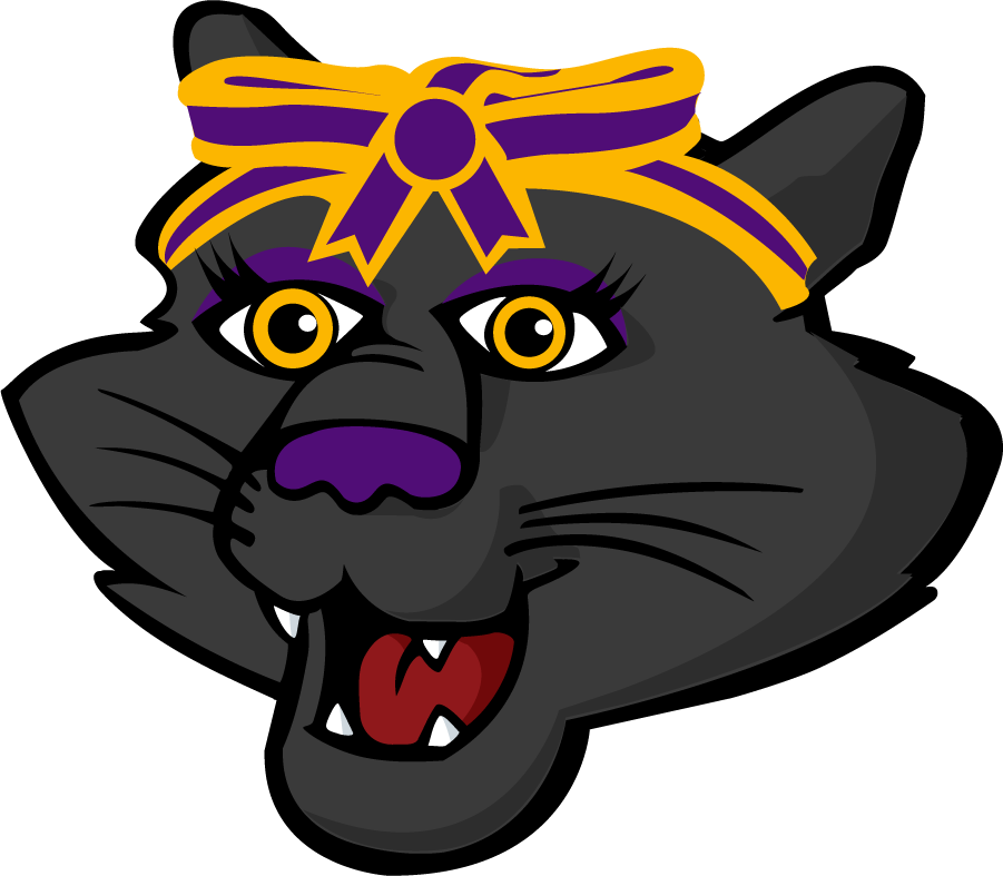 Northern Iowa Panthers 2021-Pres Mascot Logo diy DTF decal sticker